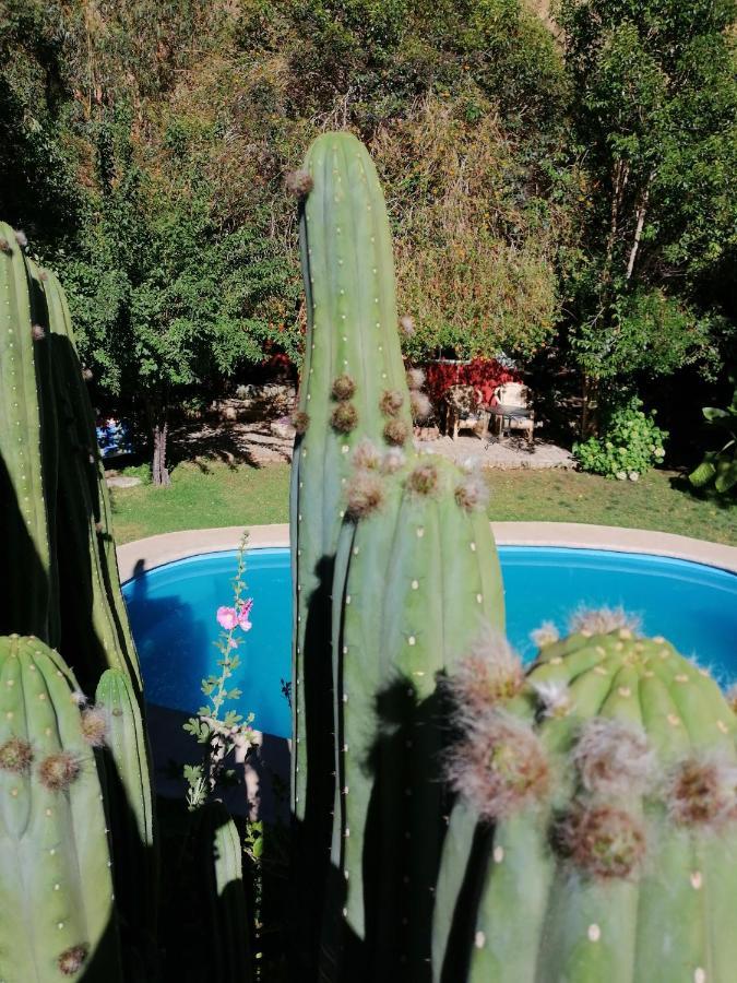 El Jardin Secreto-Pisco Elqui Aparthotel Bagian luar foto